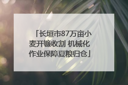长垣市87万亩小麦开镰收割 机械化作业保障夏粮归仓