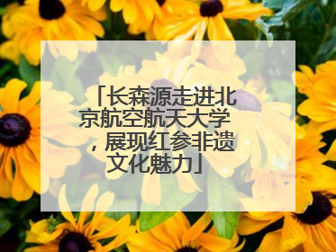 长森源走进北京航空航天大学，展现红参非遗文化魅力