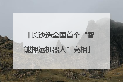 长沙造全国首个“智能押运机器人”亮相