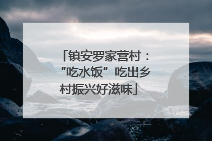 镇安罗家营村：“吃水饭”吃出乡村振兴好滋味