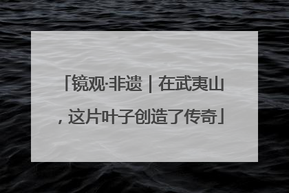 镜观·非遗｜在武夷山，这片叶子创造了传奇