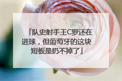 队史射手王C罗还在进球，但葡萄牙的这块短板是扔不掉了