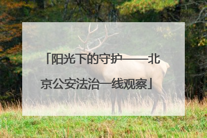 阳光下的守护——北京公安法治一线观察