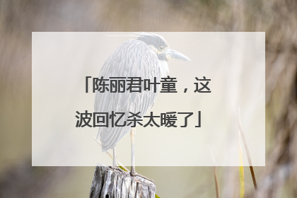 陈丽君叶童，这波回忆杀太暖了