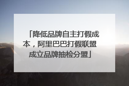 降低品牌自主打假成本，阿里巴巴打假联盟成立品牌抽检分盟