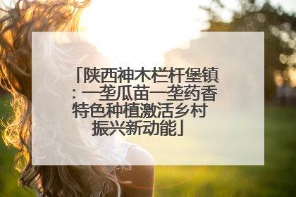 陕西神木栏杆堡镇：一垄瓜苗一垄药香 特色种植激活乡村振兴新动能