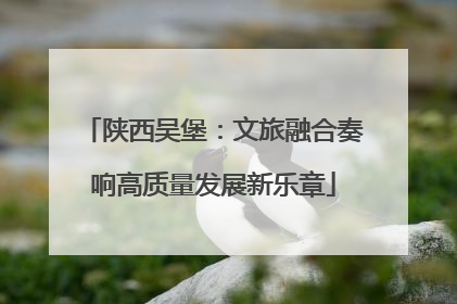 陕西吴堡：文旅融合奏响高质量发展新乐章