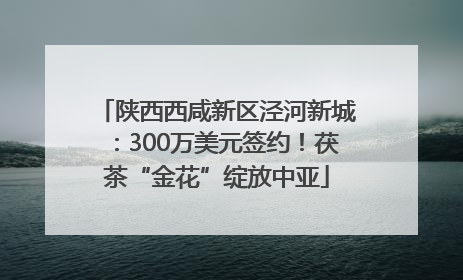 陕西西咸新区泾河新城：300万美元签约！茯茶“金花”绽放中亚