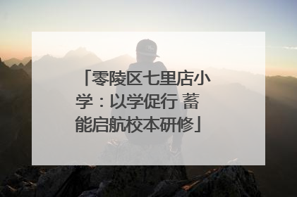 零陵区七里店小学：以学促行 蓄能启航校本研修