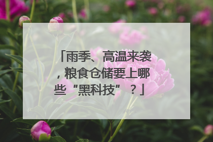 雨季、高温来袭，粮食仓储要上哪些“黑科技”？