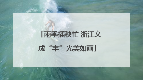雨季插秧忙 浙江文成“丰”光美如画