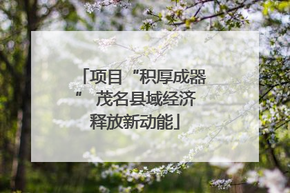 项目“积厚成器” 茂名县域经济释放新动能