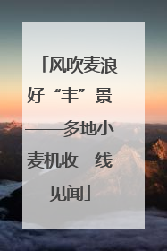 风吹麦浪好“丰”景——多地小麦机收一线见闻