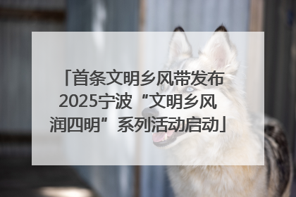 首条文明乡风带发布 2025宁波“文明乡风润四明”系列活动启动