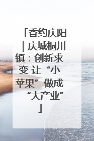 香约庆阳｜庆城桐川镇：创新求变 让“小苹果”做成“大产业”