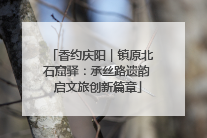 香约庆阳｜镇原北石窟驿：承丝路遗韵 启文旅创新篇章