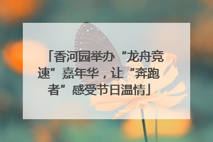 香河园举办“龙舟竞速”嘉年华，让“奔跑者”感受节日温情