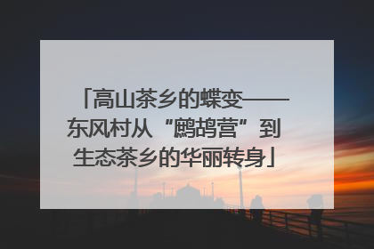 高山茶乡的蝶变——东风村从“鹧鸪营”到生态茶乡的华丽转身