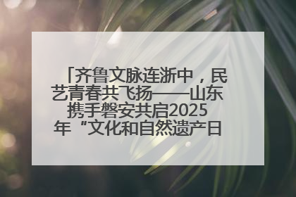齐鲁文脉连浙中，民艺青春共飞扬——山东携手磐安共启2025年“文化和自然遗产日”系列活动