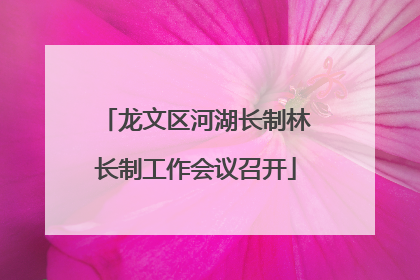 龙文区河湖长制林长制工作会议召开