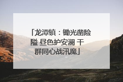 龙潭镇：锄光凿险隘 昼色护安澜 干群同心战汛魔