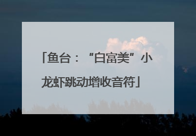 鱼台：“白富美”小龙虾跳动增收音符