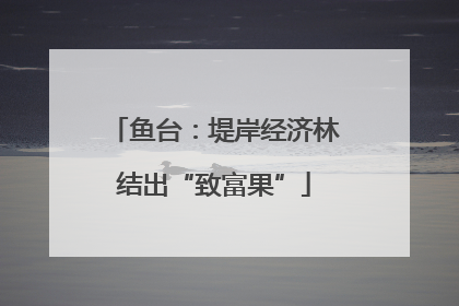 鱼台：堤岸经济林结出“致富果”
