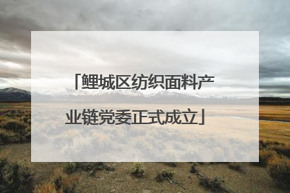 鲤城区纺织面料产业链党委正式成立