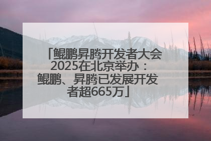 鲲鹏昇腾开发者大会2025在北京举办：鲲鹏、昇腾已发展开发者超665万