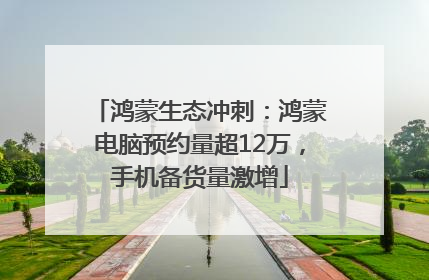 鸿蒙生态冲刺：鸿蒙电脑预约量超12万，手机备货量激增
