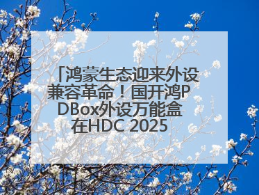 鸿蒙生态迎来外设兼容革命！国开鸿PDBox外设万能盒在HDC 2025大放异彩