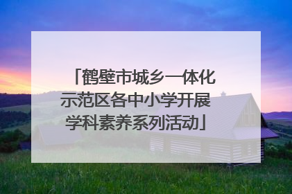 鹤壁市城乡一体化示范区各中小学开展学科素养系列活动