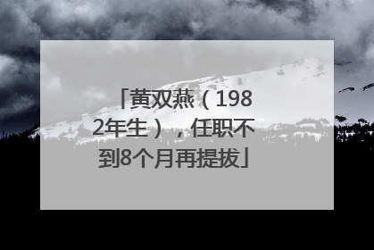 黄双燕（1982年生），任职不到8个月再提拔