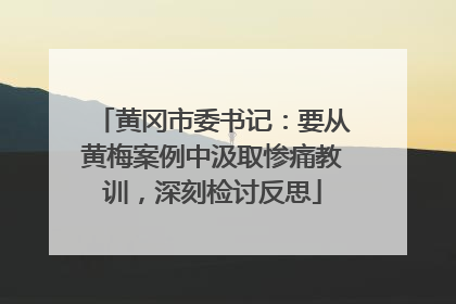 黄冈市委书记：要从黄梅案例中汲取惨痛教训，深刻检讨反思