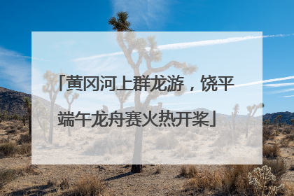 黄冈河上群龙游，饶平端午龙舟赛火热开桨