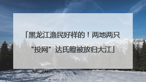 黑龙江渔民好样的！两地两只“投网”达氏鳇被放归大江