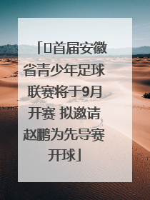 ﻿首届安徽省青少年足球联赛将于9月开赛 拟邀请赵鹏为先导赛开球