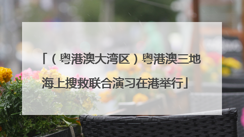 （粤港澳大湾区）粤港澳三地海上搜救联合演习在港举行