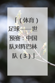 （体育）足球——世预赛：中国队对阵巴林队（3）