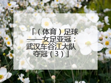 （体育）足球——女足亚冠：武汉车谷江大队夺冠（3）