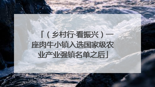 （乡村行·看振兴）一座肉牛小镇入选国家级农业产业强镇名单之后