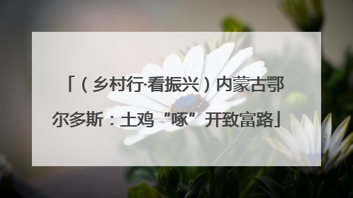 （乡村行·看振兴）内蒙古鄂尔多斯：土鸡“啄”开致富路