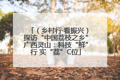 （乡村行·看振兴）探访“中国荔枝之乡”广西灵山：科技“鲜”行 实“荔”C位