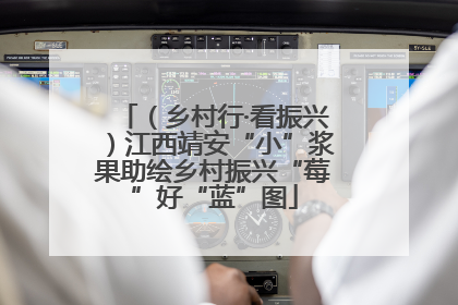 （乡村行·看振兴）江西靖安“小”浆果助绘乡村振兴“莓”好“蓝”图