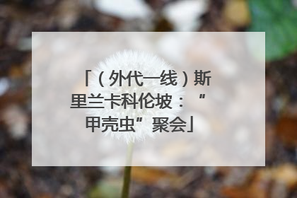 （外代一线）斯里兰卡科伦坡：“甲壳虫”聚会