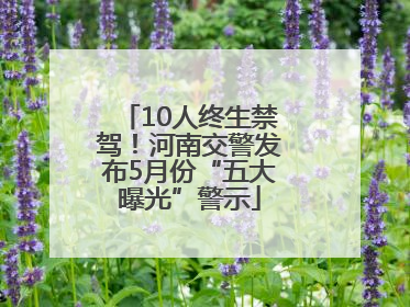 10人终生禁驾！河南交警发布5月份“五大曝光”警示