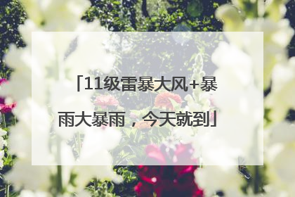 11级雷暴大风+暴雨大暴雨，今天就到