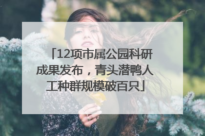 12项市属公园科研成果发布，青头潜鸭人工种群规模破百只