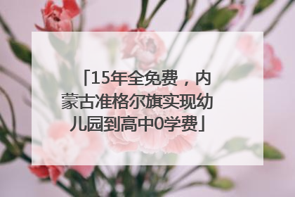 15年全免费，内蒙古准格尔旗实现幼儿园到高中0学费
