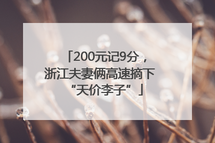 200元记9分，浙江夫妻俩高速摘下“天价李子”